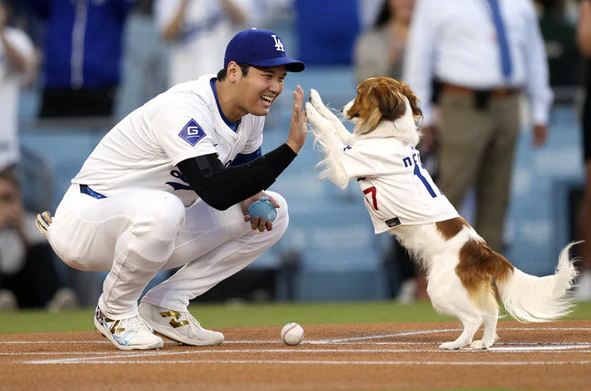 MLB, 오타니, 버블헤드 데이서 반려견 시구 이어 '42홈런-42도루' 달성