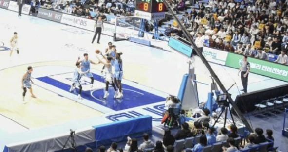 KBL, 감독 폭행 피해자가 학폭 가해자?…고양 소노, 팀 훈련 제외 조치