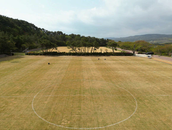 K리그, 울산HD, 프로 축구단 최초 '난지형 잔디' 도입…새로운 모델 제시